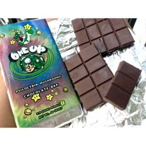 Buy Mushroom Chocolate Wholesale