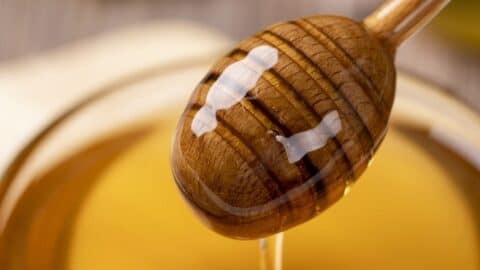 Honey Blog